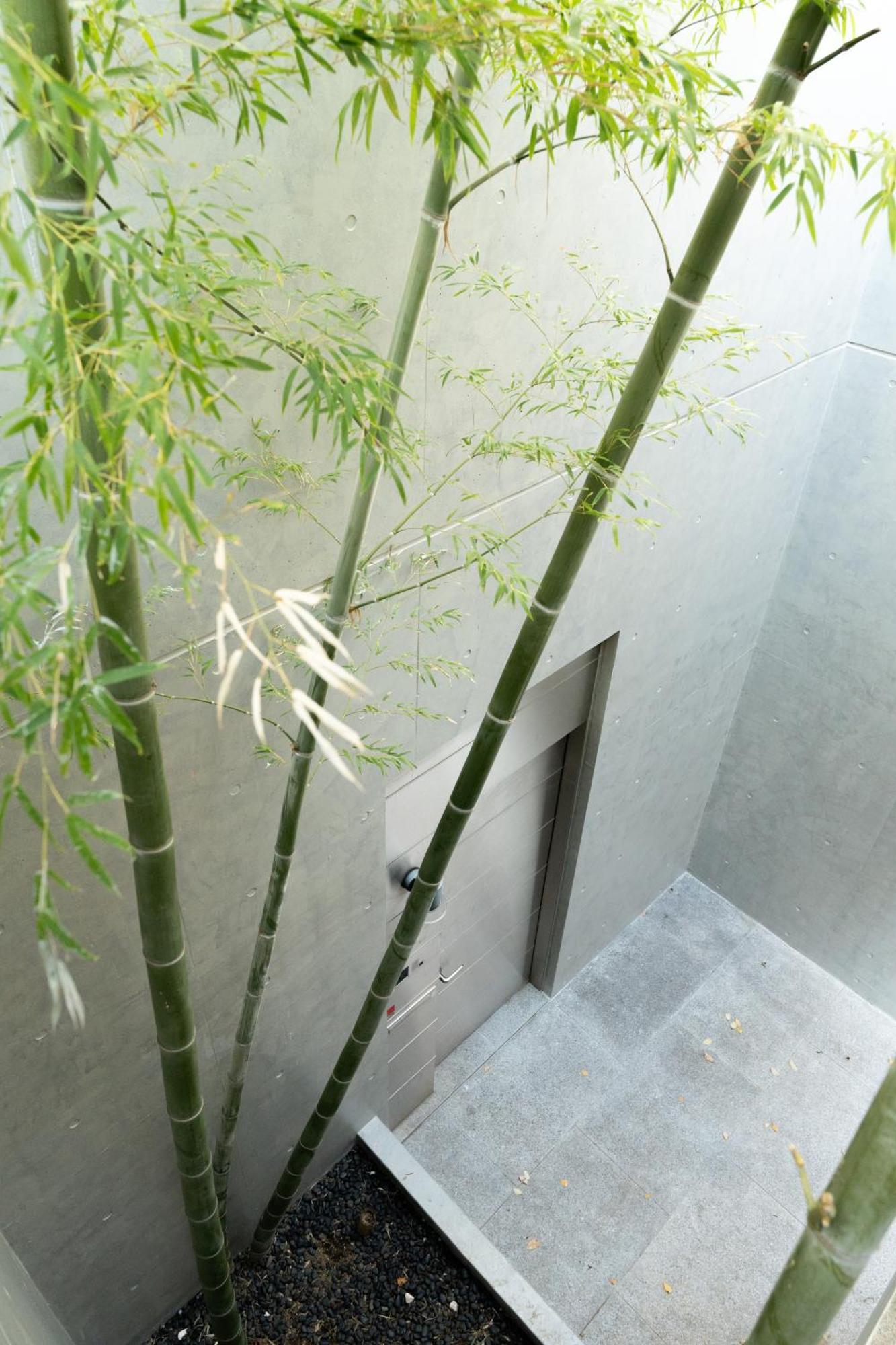 Azabu Modern House The Tokyo Tower Can Be Seen From The Villa 500M2 Exterior foto